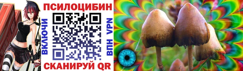omg ссылки  Углич  Псилоцибиновые грибы MAGIC MUSHROOMS 