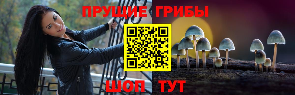 Галлюциногенные грибы прущие грибы  Псилоцибиновые грибы GOLDEN TEACHER  Вход с VPN  Углич 